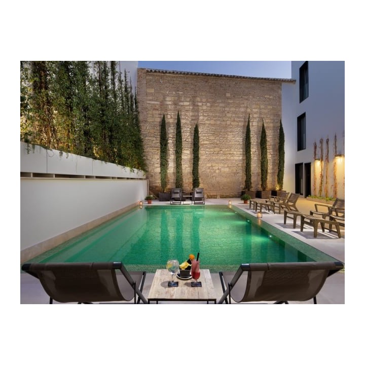 H10 Palacio Colomera