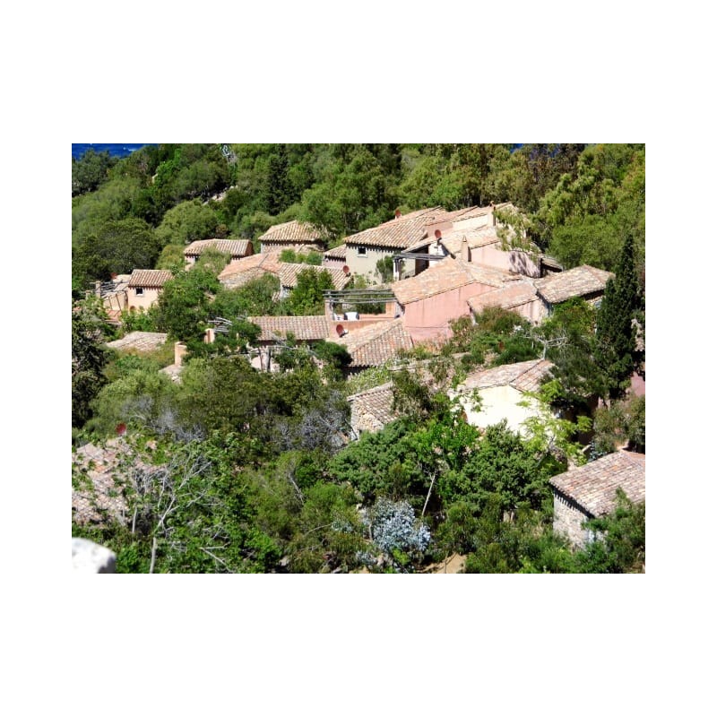 Hotel Monte Turri - Adults Only