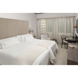 Hotel Melia Castilla