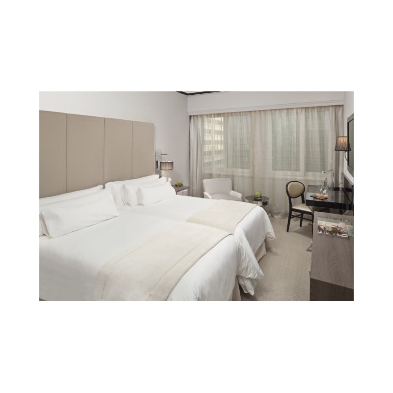 Hotel Melia Castilla