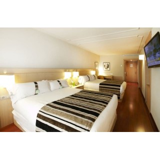 Hotel Holiday Inn Andorra