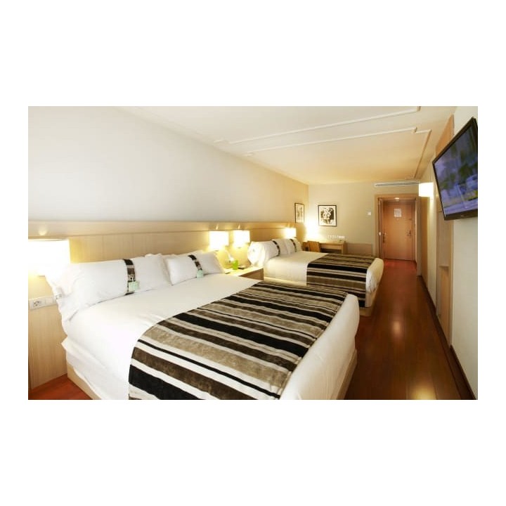 Hotel Holiday Inn Andorra