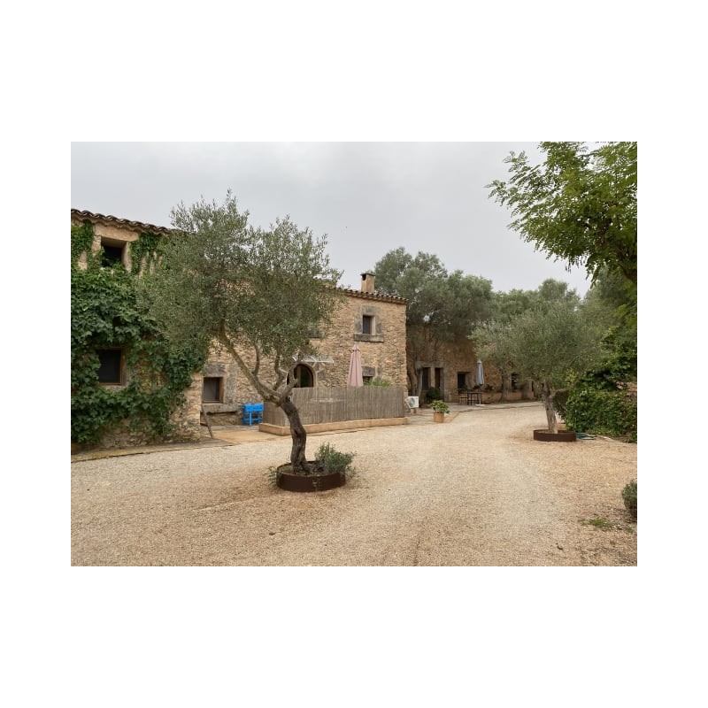 Finca Son Guardiola
