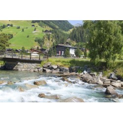 Hotel Alpenhof