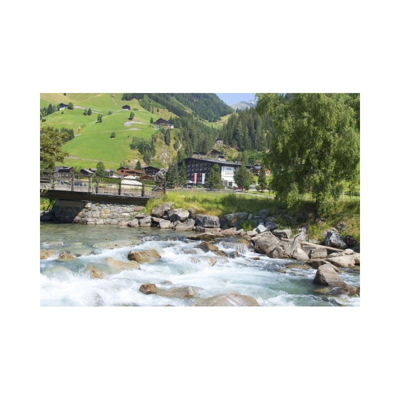 Hotel Alpenhof