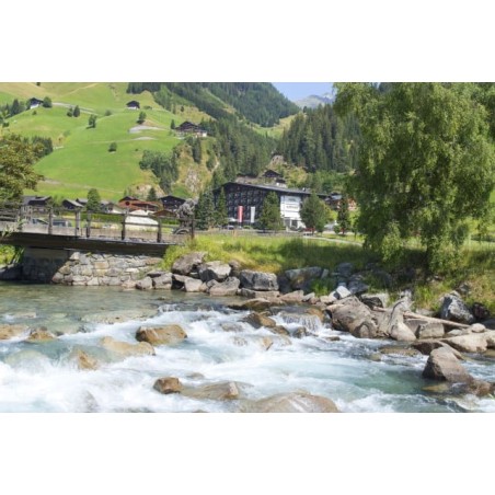 Hotel Alpenhof