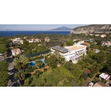 Hotel Alpha