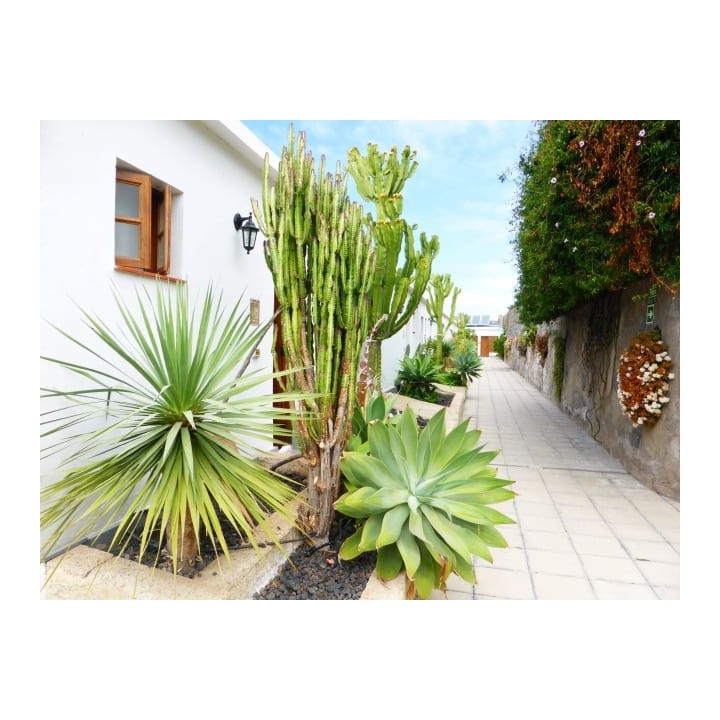 Hotel Rural El Navío