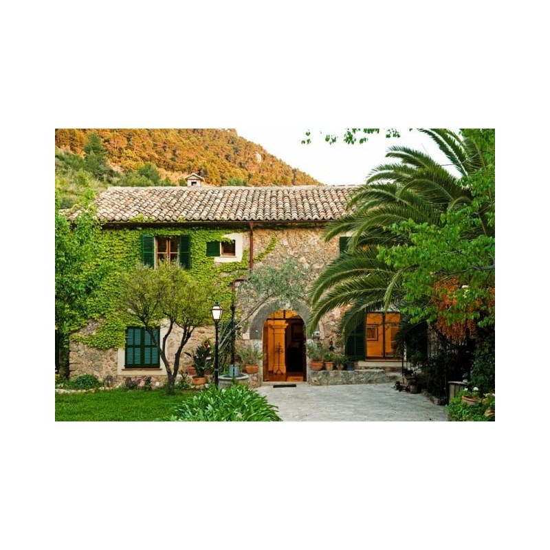 Hotel Son Escanelles - Valldemossa