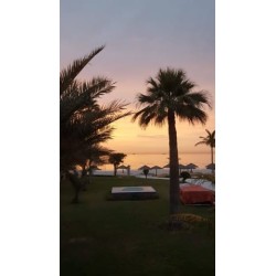 Lou'Lou'a Beach Resort