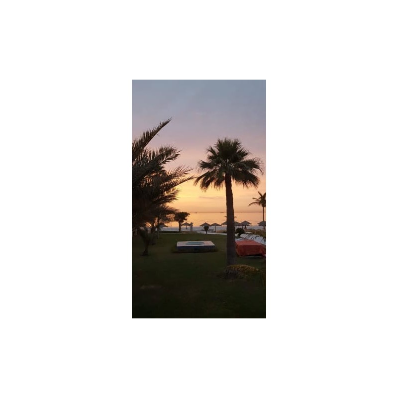 Lou'Lou'a Beach Resort
