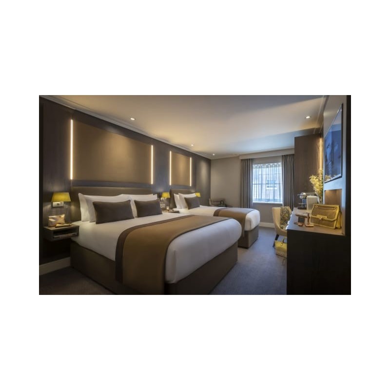 Belvedere Hotel Parnell Square