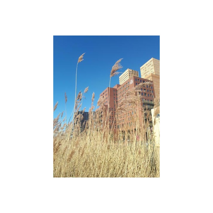 Crowne Plaza Hotel Amsterdam South