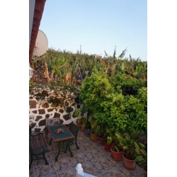 Finca Casa Silvina