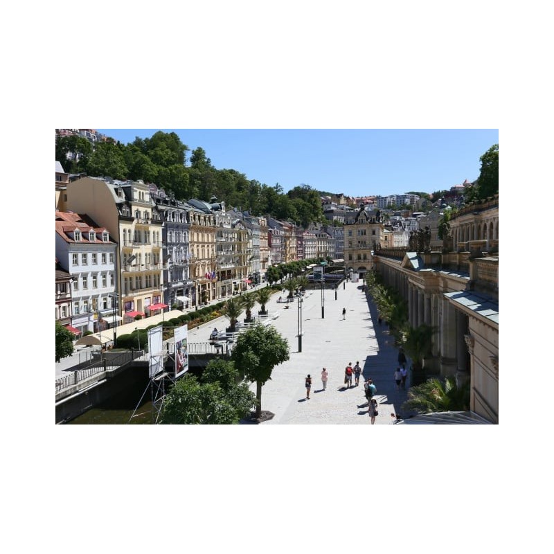 ASTORIA Hotel & Medical Spa, Karlovy Vary