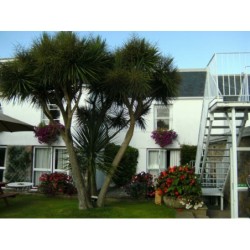 Beausite Hotel