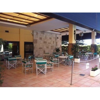 Hotel Holiday Inn Aurelia