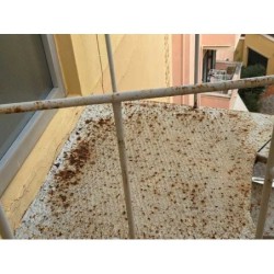 Hotel Arion