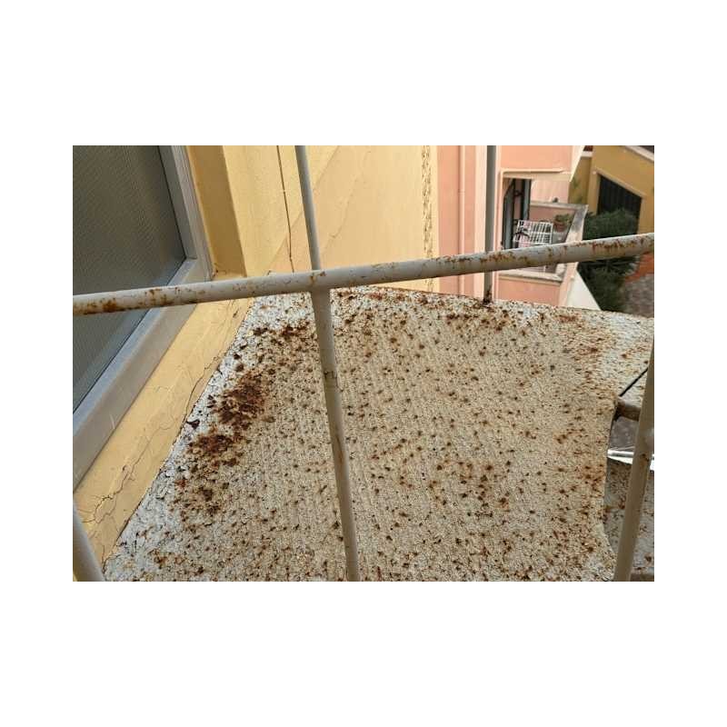 Hotel Arion