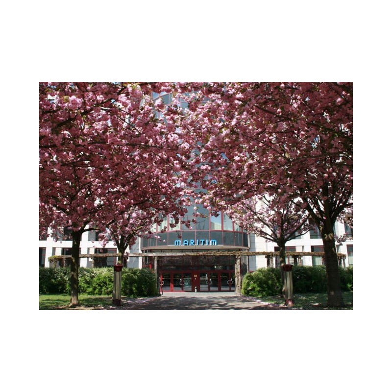 Maritim Hotel Magdeburg