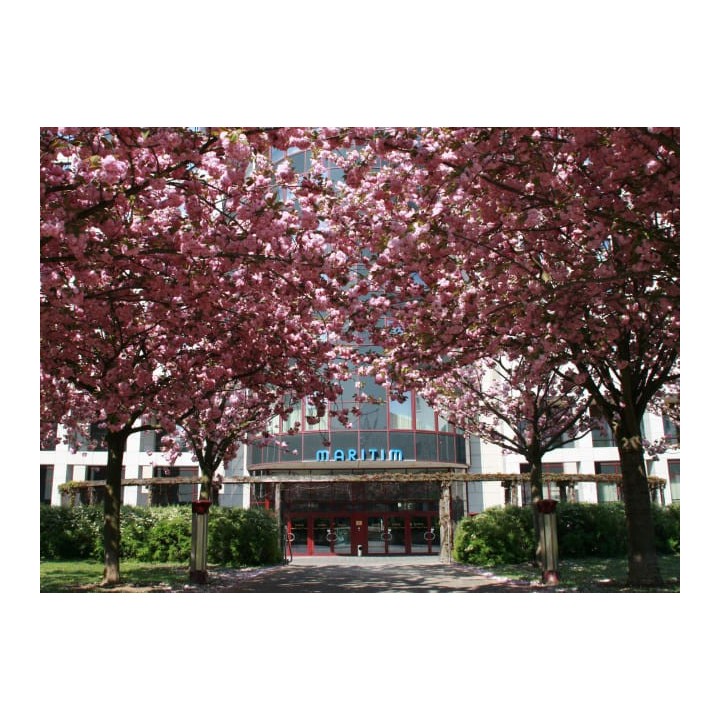 Maritim Hotel Magdeburg