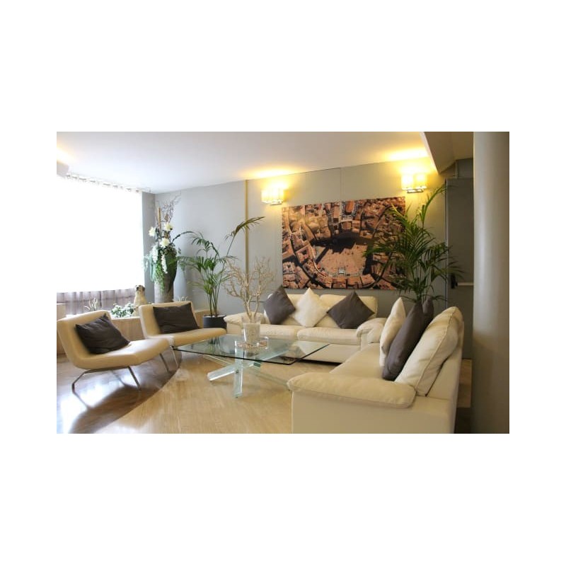 Hotel Executive