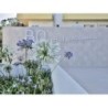 BQ Belvedere Hotel