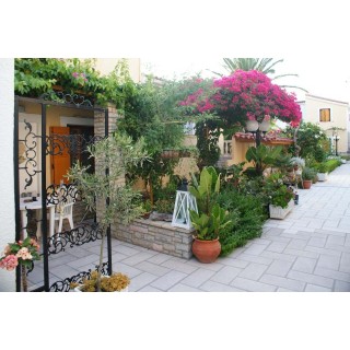 Hotel Olympia Village