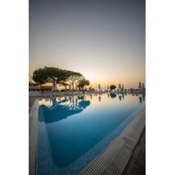 blau punta reina