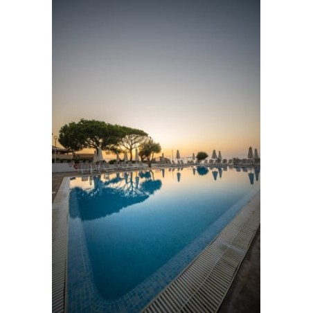 blau punta reina