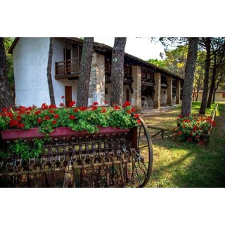 Belvedere Pineta Camping Village