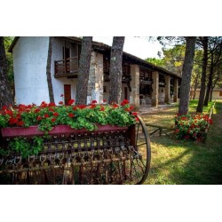 Belvedere Pineta Camping Village