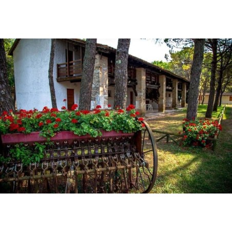 Belvedere Pineta Camping Village