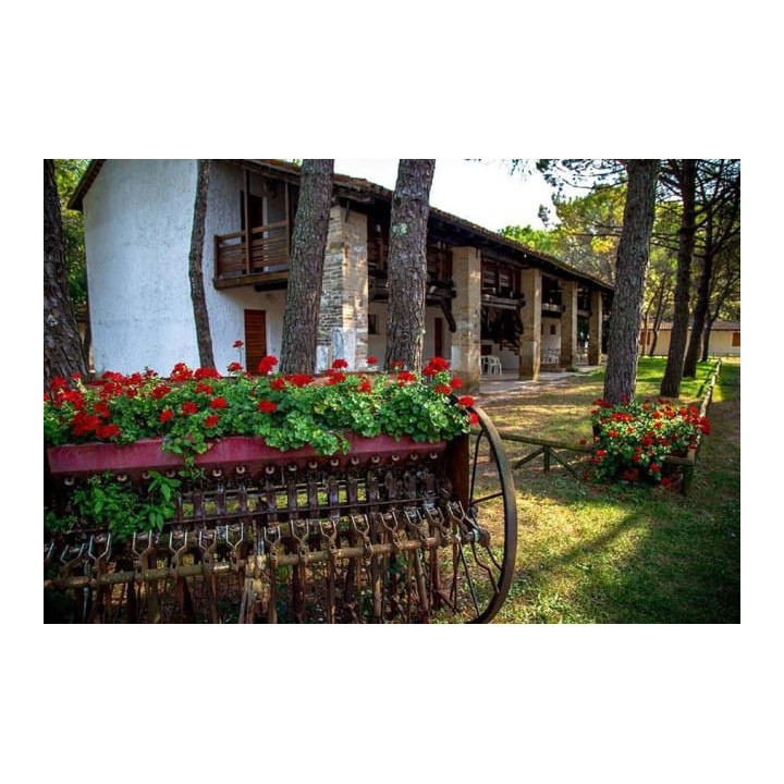 Belvedere Pineta Camping Village