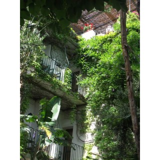 Hotel La Villarosa Terme