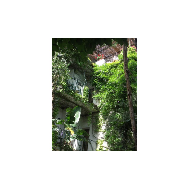 Hotel La Villarosa Terme