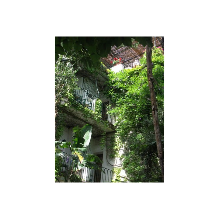 Hotel La Villarosa Terme