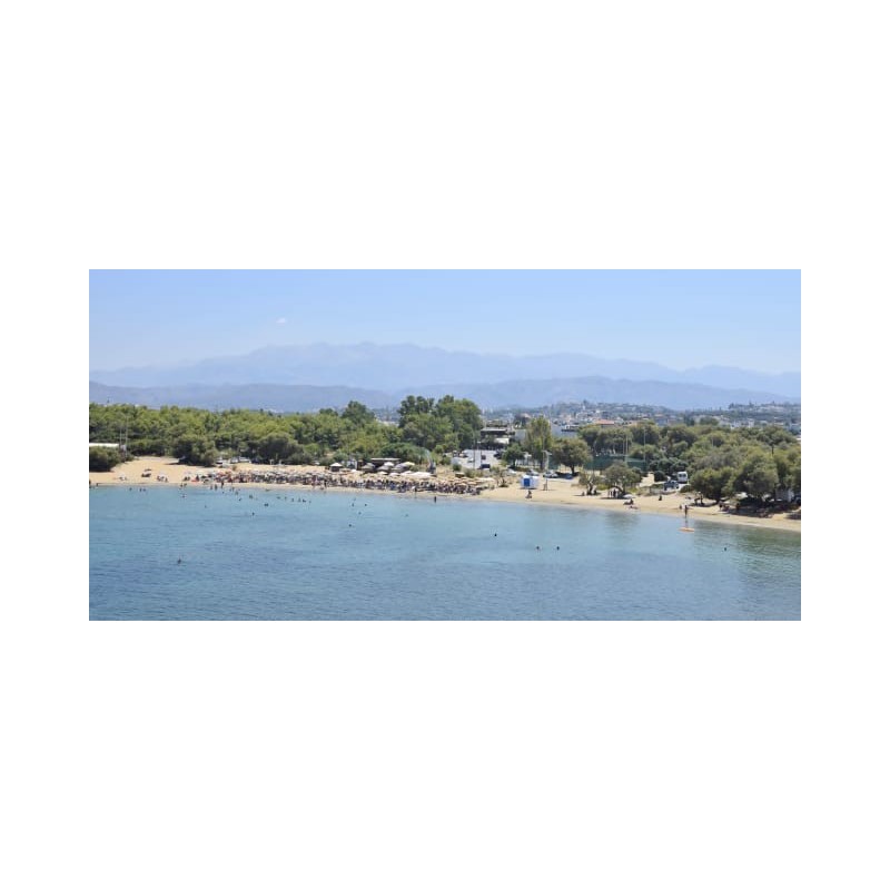 Hotel Althea Village