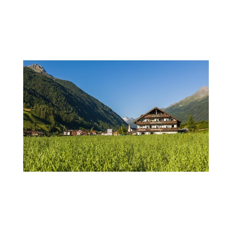 Hotel Bergjuwel