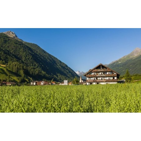 Hotel Bergjuwel