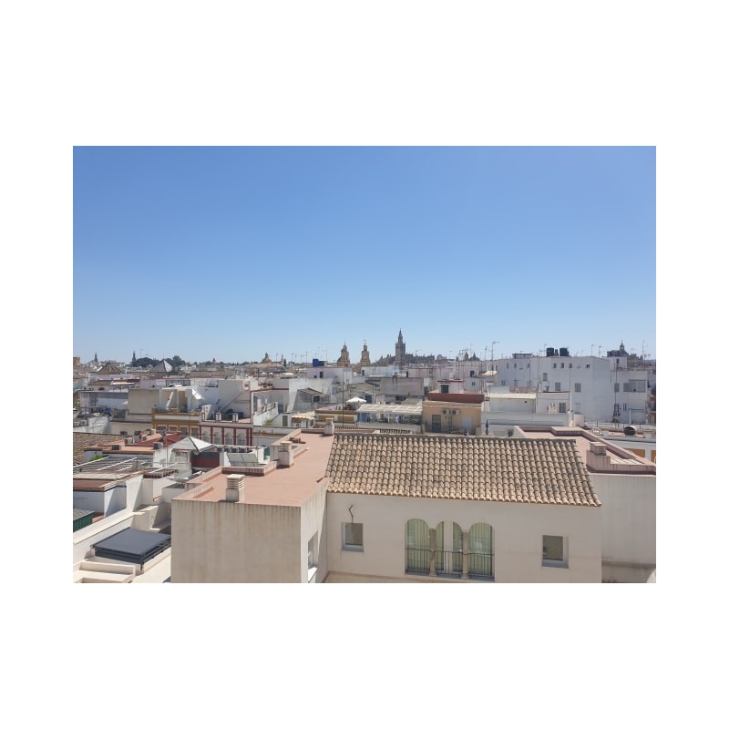 Hotel Don Paco