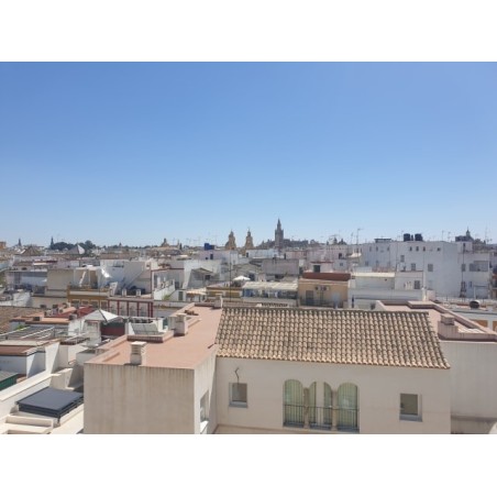 Hotel Don Paco