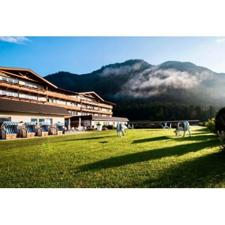 elaya hotel steinplatte
