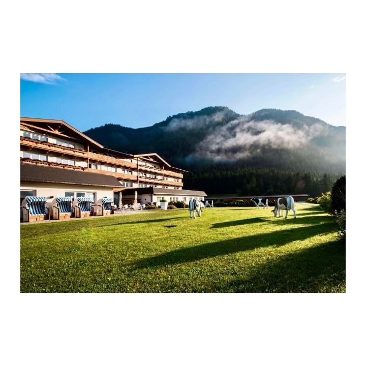 elaya hotel steinplatte