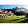 elaya hotel steinplatte