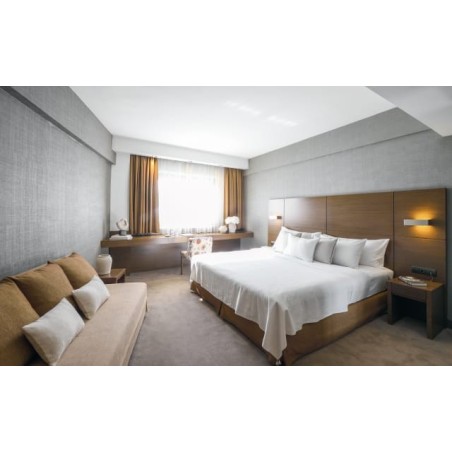 Anatolia Hotel