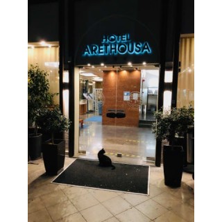 Hotel Arethusa