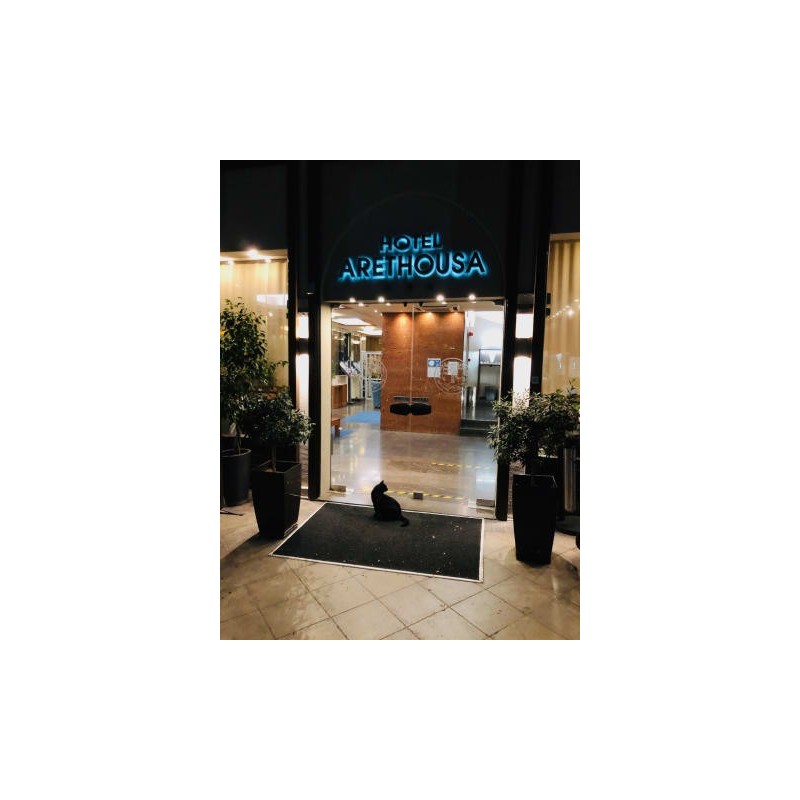 Hotel Arethusa
