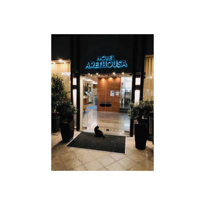 Hotel Arethusa