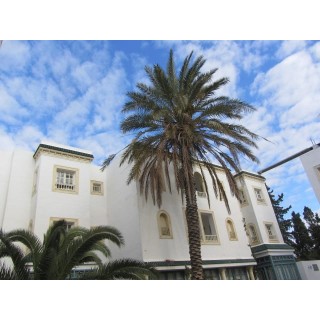 Hotel Residence Mahmoud